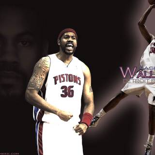 Rasheed Wallace wallpaper