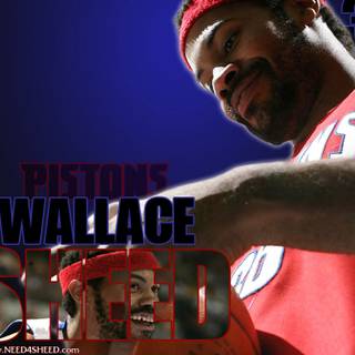 Rasheed Wallace wallpaper