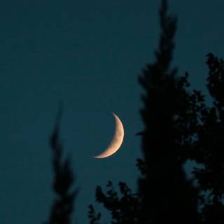 Beautiful calm crescent wallpaper