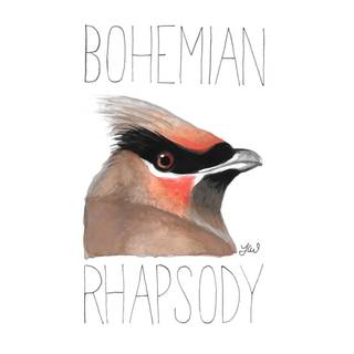 Bohemian Waxwing wallpaper