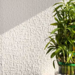 Lucky Bamboo wallpaper