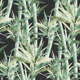 Lucky Bamboo wallpaper