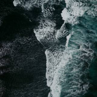 Black and white waves wallpaper