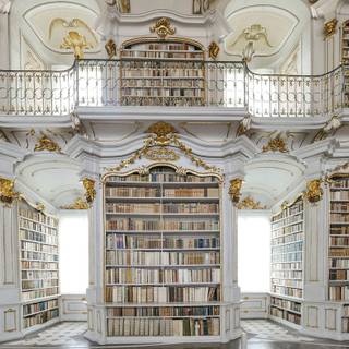 Harry Potter library wallpaper