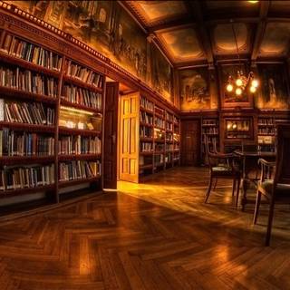 Harry Potter library wallpaper