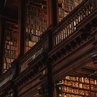 Harry Potter library wallpaper