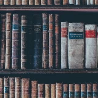 Harry Potter library wallpaper