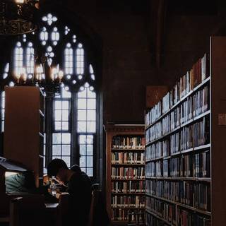 Harry Potter library wallpaper