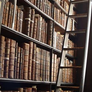 Harry Potter library wallpaper