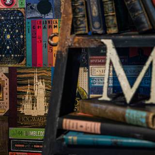 Harry Potter library wallpaper