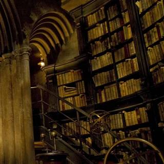 Harry Potter library wallpaper