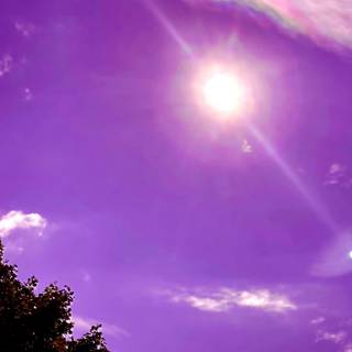 iPhone lilac wallpaper