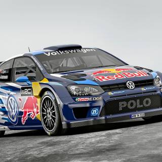 Polo desktop wallpaper