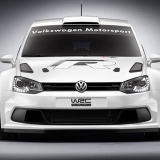 Polo desktop wallpaper