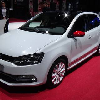 Polo desktop wallpaper