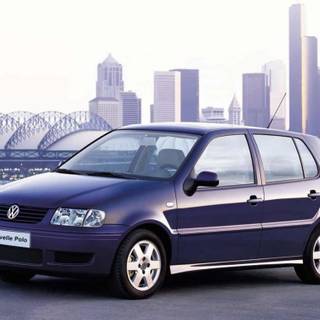 Polo desktop wallpaper