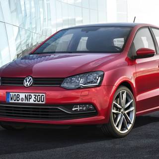 Polo desktop wallpaper