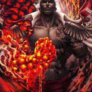 One Piece Sakazuki anime wallpaper