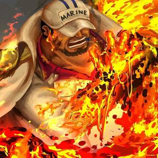 One Piece Sakazuki anime wallpaper