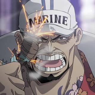 One Piece Sakazuki anime wallpaper