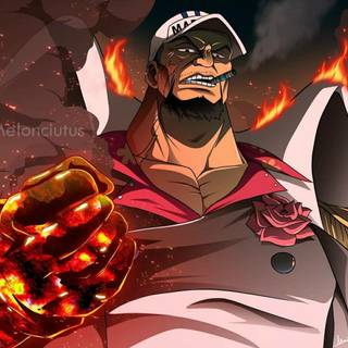 One Piece Sakazuki anime wallpaper