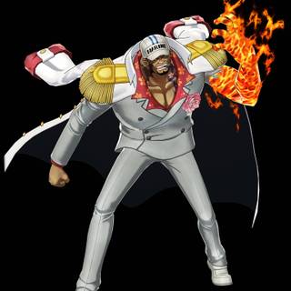 One Piece Sakazuki anime wallpaper