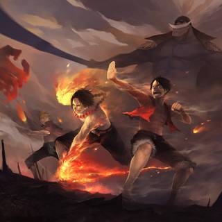 One Piece Sakazuki anime wallpaper