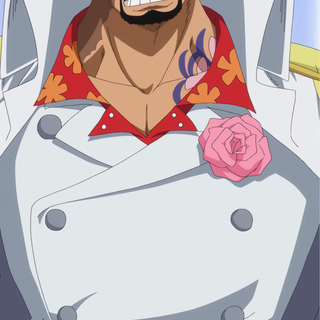 One Piece Sakazuki anime wallpaper