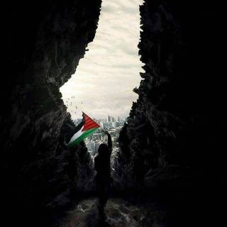 Palestine flag mobile wallpaper