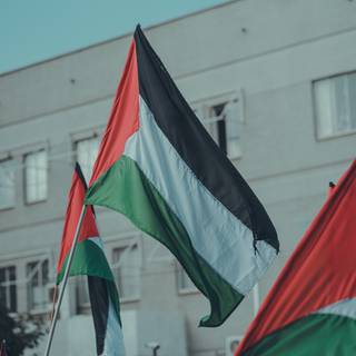 Palestine 4k wallpaper