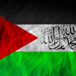 Palestine 4k wallpaper