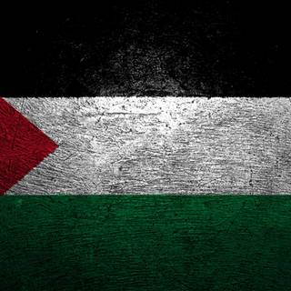 Palestine 4k wallpaper