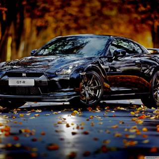 Autumn cars desktop wallpaper