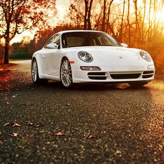 Autumn cars desktop wallpaper