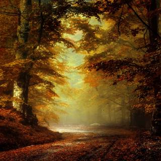 4k autumn Mac wallpaper