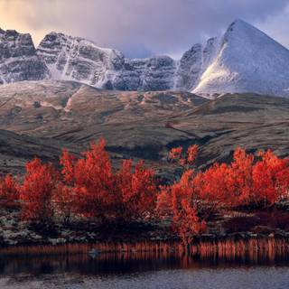 4k autumn Mac Book Pro wallpaper