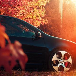 Autumn cars desktop wallpaper
