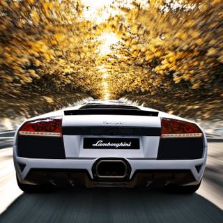 Autumn cars desktop wallpaper