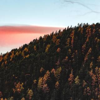 4k autumn Mac wallpaper