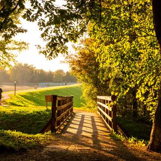 Autumn desktop HD wallpaper