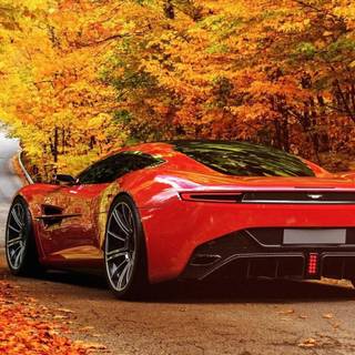 Autumn cars desktop wallpaper