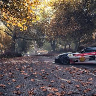 Autumn cars desktop wallpaper