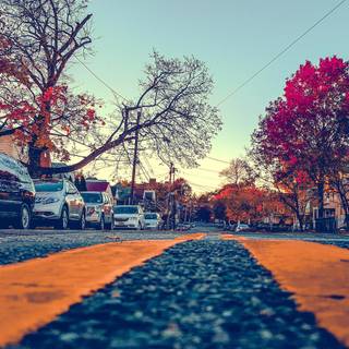 Autumn cars desktop wallpaper