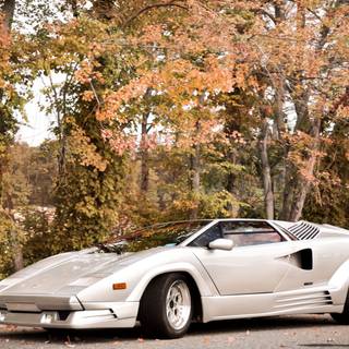 Autumn cars desktop wallpaper