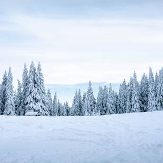 1280x720 winter wallpaper