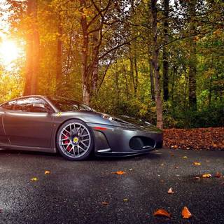 Autumn cars desktop wallpaper