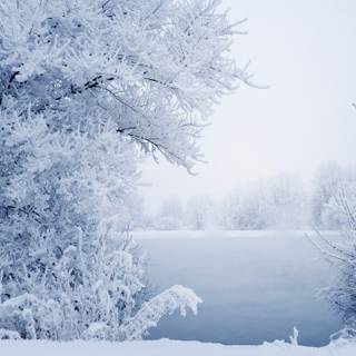 1280x720 winter wallpaper