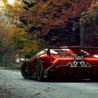 Autumn cars desktop wallpaper