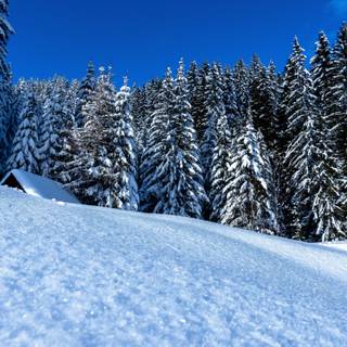 1280x720 winter wallpaper