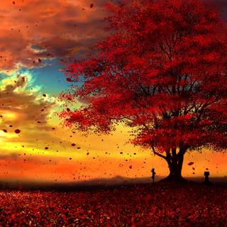 4k autumn Mac Book Pro wallpaper